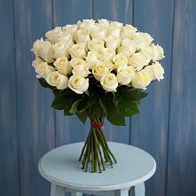 Букет 51 Белая роза Эдлесс Лав #REPLACE_PRED# Балее