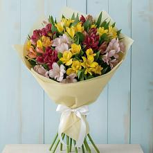 Букет цветов из:  Альстромерии в Балее